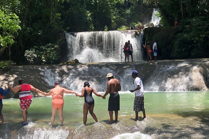 Black River Safari and YS Falls - The Black River safari, 90 minutes of wildlife watching