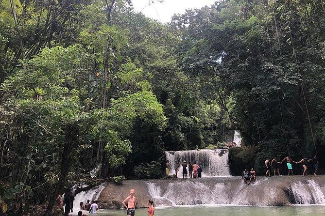 Black River Safari and YS Water Falls - Timing, comfort, and useful planning tips