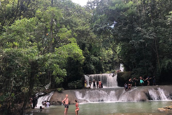 Black River Safari, YS Falls and Appleton Estate - Appleton Estate: seeing how sugar cane becomes rum