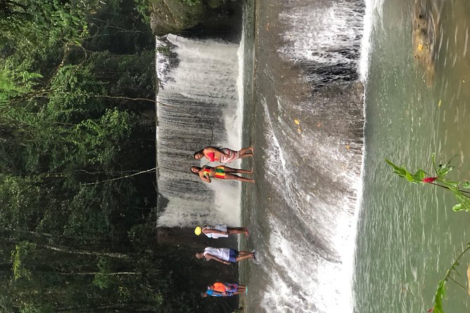 Black River Safari, YS Falls and Appleton Estate - What the private transportation adds