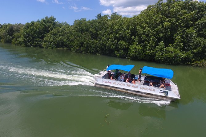 Black River Safari, YS Falls and Appleton Estate - The real cost: about $229.47 before lunch