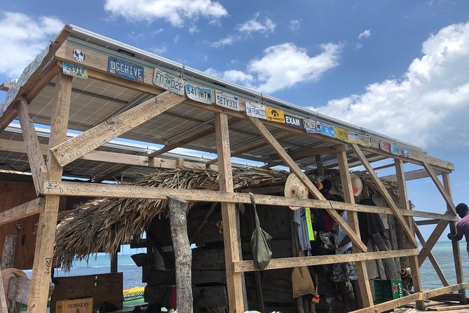 Black River Safari, YS Falls and Floyd's Pelican Bar - Who will enjoy this trip most