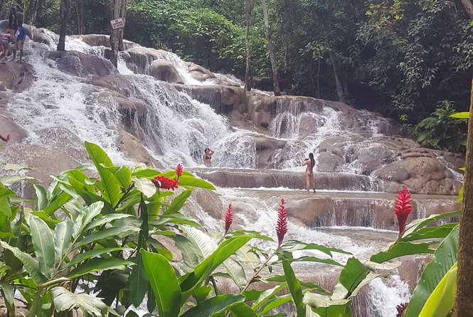 Blue Hole and Dunn's River Adventurous and hiking waterfalls from Ocho Rios - Desmond adds value during the drive
