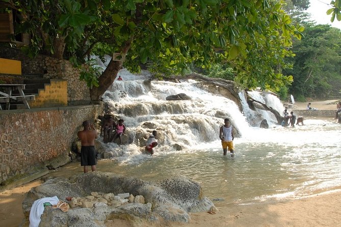 Blue Hole and Dunn's River Falls Tour from Montego Bay - Who will enjoy this day most