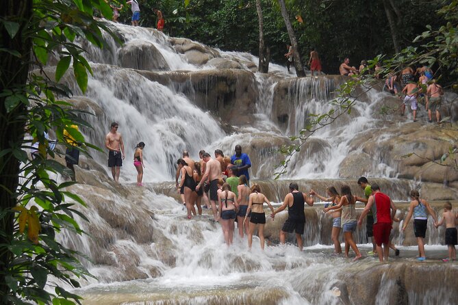 Blue Hole and Dunn’s River Falls Tour with Lunch and Cocktails at Reggae Hill - Dunn’s River Falls: a wet climb, not a viewpoint stop