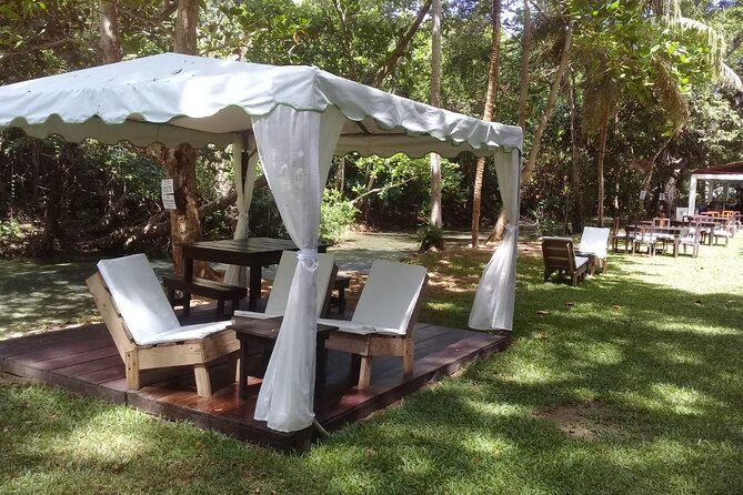 Blue Hole and Dunn’s River Falls Tour with Lunch and Cocktails at Reggae Hill - Who will enjoy this most
