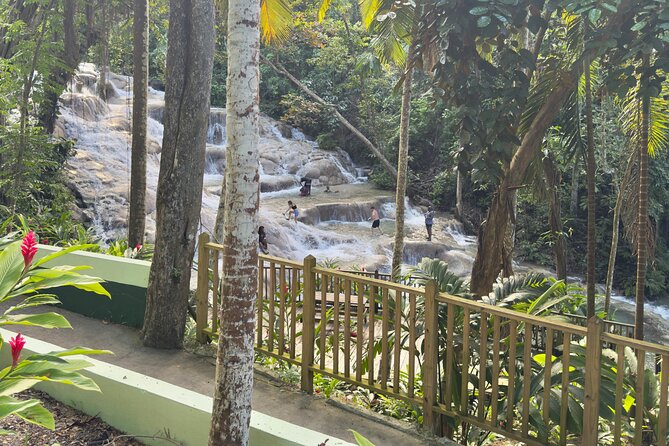 Blue Hole and Dunn's River Tour (Entrance Fees Not Included) - Timing, fitness, and the small print