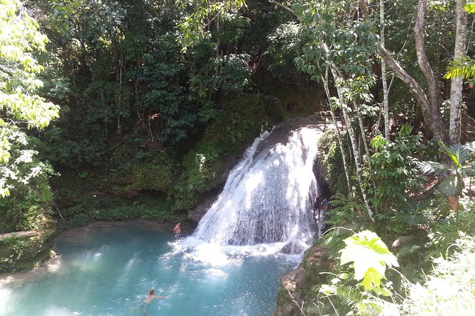 Blue Hole and Dunns River Falls from Falmouth - Why this Falmouth excursion works so well
