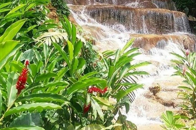 Blue Hole And Konoko Falls Combo Tour From Ocho Rios & Runaway Bay! - What to pack for wet Jamaican attractions