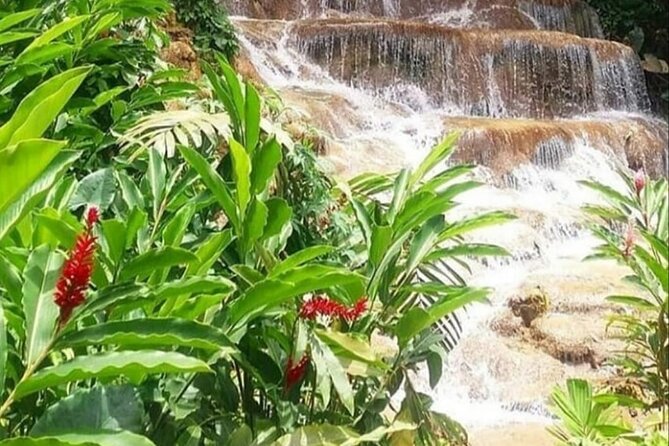Blue Hole And Konoko Falls Combo Tour From Ocho Rios & Runaway Bay! - A good driver shapes the whole day