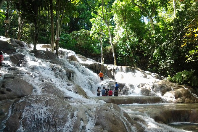 Blue Hole, Dunn's River Falls Luminous Lagoon Excursion From Montego Bay - Lunch is a break, but it is not part of the price