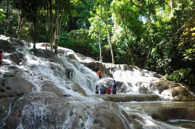 Blue Hole, Dunn's River Falls Luminous Lagoon Excursion From Montego Bay - How the private guide affects the day