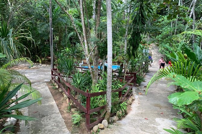 Blue Hole & Dunn's River Falls with Lunch from Negril - What the guides add to the day