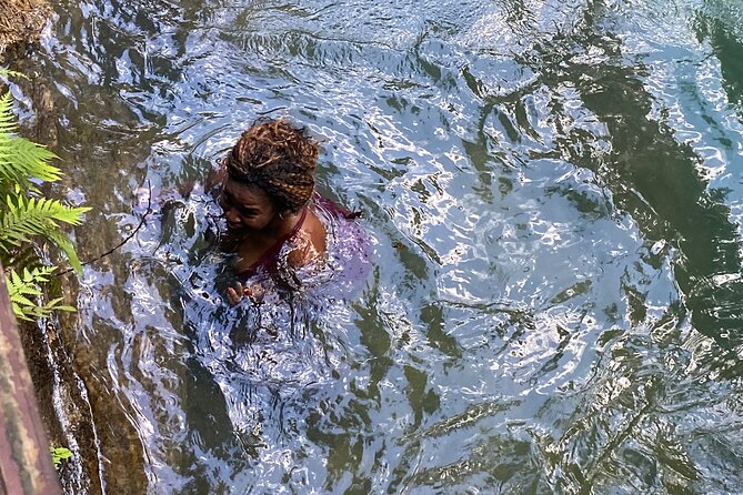 Blue Hole Falls & Ocho Rios from Montego Bay & Falmouth Jamaica - Fern Gully turns the road into a scenic stop