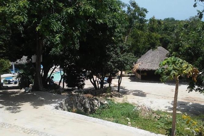 Blue Hole Mineral Spring and Ricks Cafe Private Tour - Should You Book the Blue Hole and Rick’s Cafe Tour?