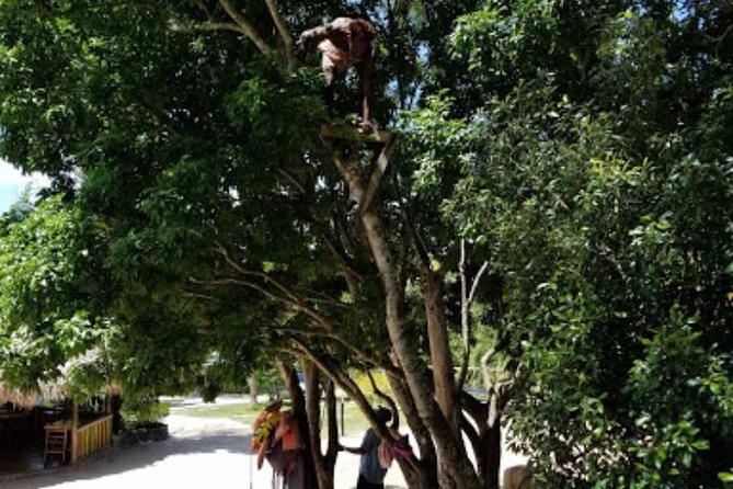 Blue Hole Mineral Spring and Ricks Cafe Private Tour - FAQ