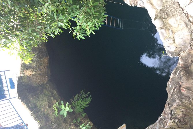 Blue Hole Mineral Springs, Rick's Café, and Shopping Combo Tour - Rick’s Café for cliff views and a possible sunset