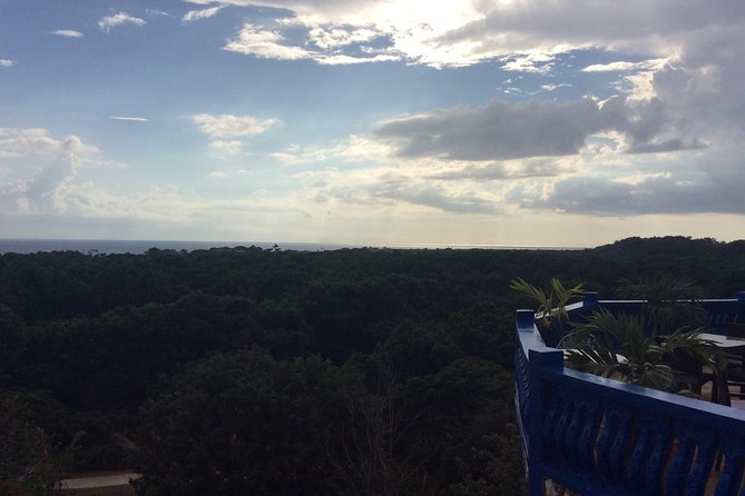 Blue Hole Mineral Springs, Rick's Café, and Shopping Combo Tour - Blue Hole Mineral Spring and the 22-foot jump