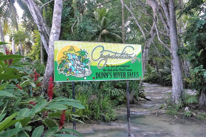 Blue Hole plus Secret Falls and Dunns River Falls Combo from Runaway Bay Hotels - Why this combination works so well