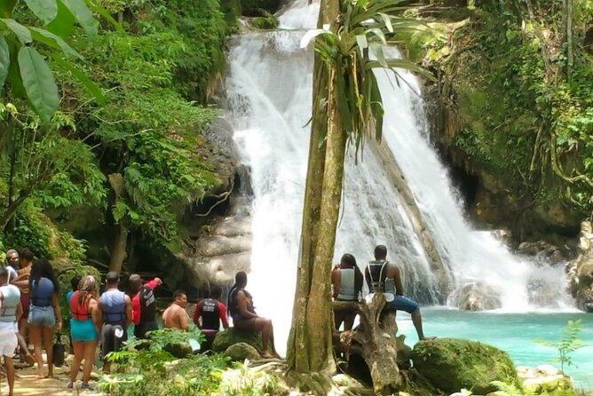 Blue Hole/Secert falls and Dunns River Combo Tour - What the certified guides add