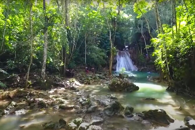 Blue Hole Waterfalls and Rasta Garden from Montego Bay - Calby’s Hidden Beauty River and Rastafari home