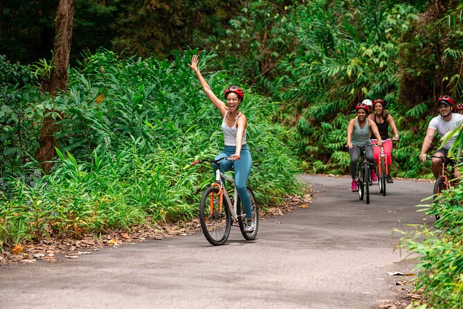 Blue Mountain Bicycle Tour - Key points at a glance