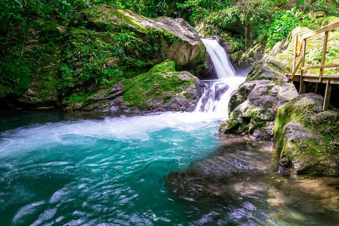 Blue Mountain Bicycle Tour - A long ride into Jamaica’s Blue Mountains