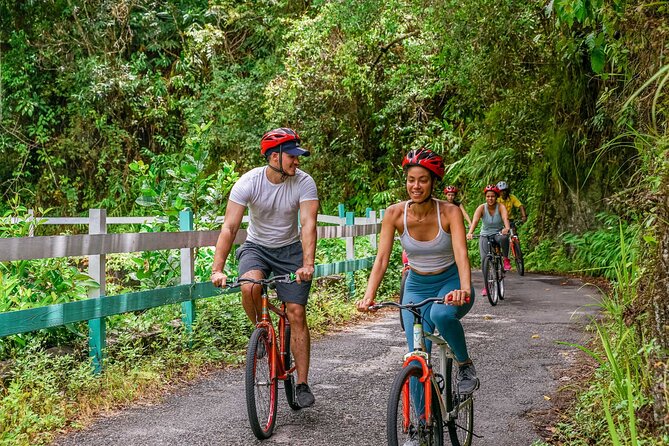 Blue Mountain Bicycle Tour - Lunch, local plants, and the second part of the descent