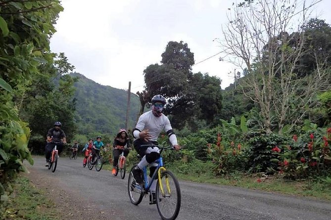 Blue Mountain Bicycle Tour from Montego Bay - Cycling through rainforest and coffee fields