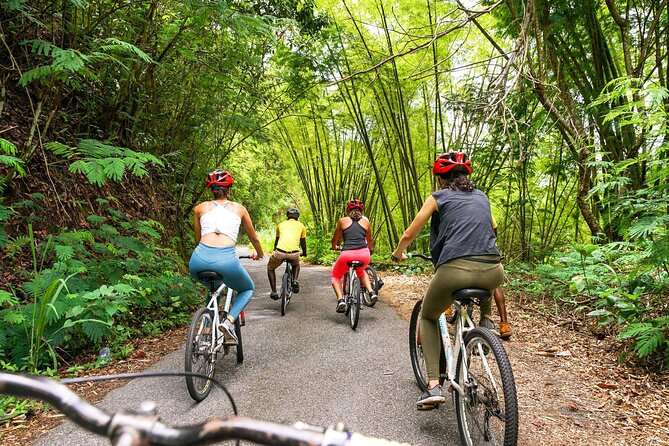 Blue Mountain Bicycle Tour - Brunch with mountain views