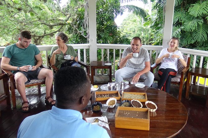 Blue Mountain Coffee and Sightseeing Tour - From Kingston streets to Blue Mountain air