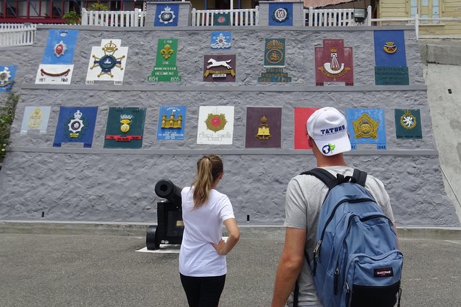 Blue Mountain Coffee and Sightseeing Tour - Newcastle JDF Camp and the Kingston view