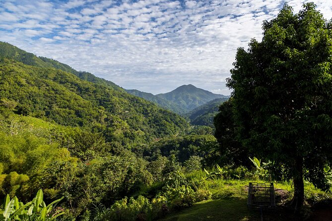 Blue Mountain Highlights - Lunch, village scenery, and a mountain swim