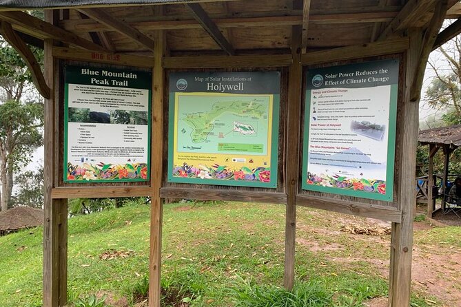 Blue Mountain Peek, and Site Seeing - What the hike is like
