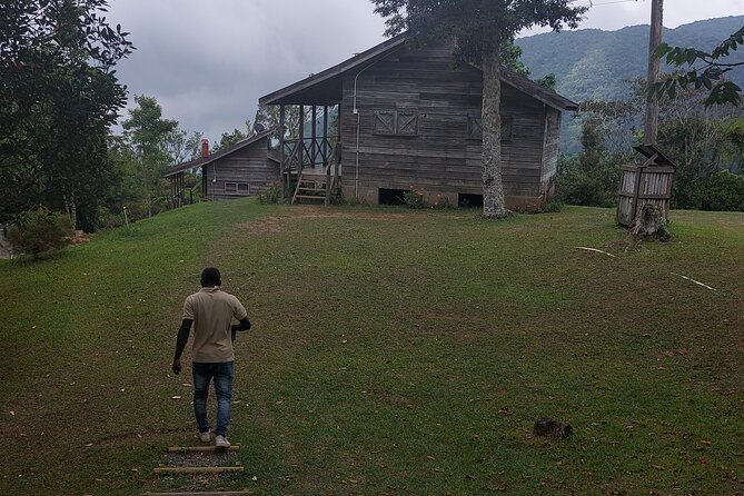Blue Mountain Sight-Seeing & Nature Trail Hike with Private Guide - Leaving Ocho Rios for the Blue Mountains