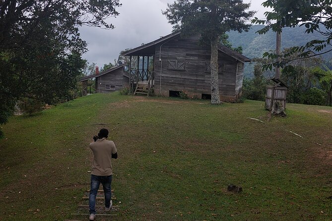 Blue Mountain Sight-Seeing & Nature Trail Hike with Private Guide - Omar’s role makes the walk more useful