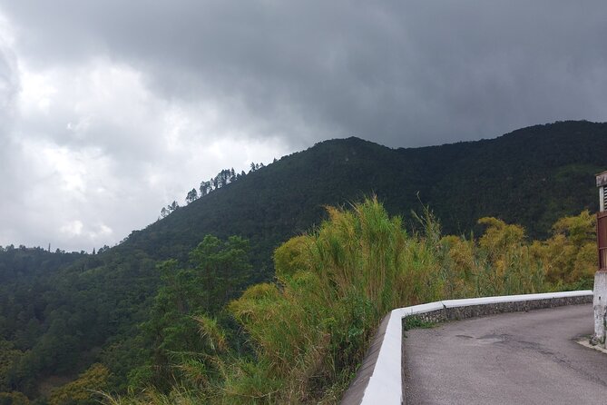 Blue Mountain Sight-Seeing & Nature Trail Hike with Private Guide - What the private format changes