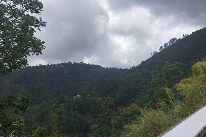 Blue Mountain Sight-Seeing & Nature Trail Hike with Private Guide - How active is the hiking?