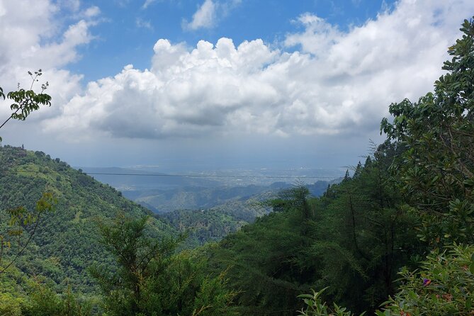 Blue Mountain Sight-Seeing & Nature Trail Hike with Private Guide - The day’s strongest and weakest points