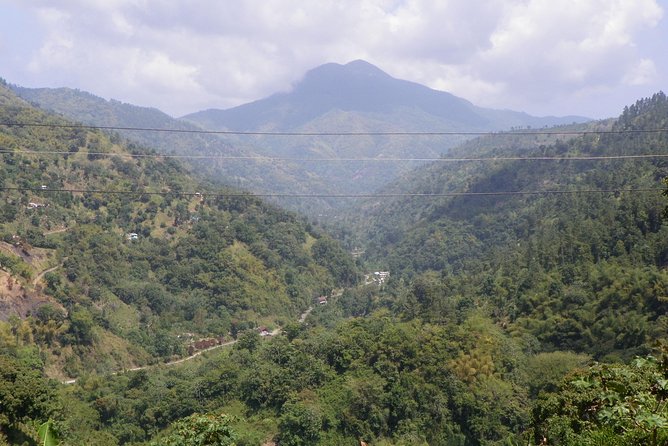 Blue Mountain Tour with Hotel Transportation - Key points to know before booking