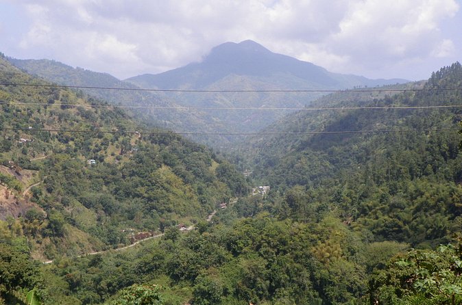 Blue Mountain Tour with Hotel Transportation - What the guide adds to the day