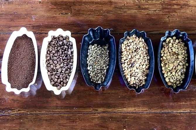 Blue Mountains Coffee Private Tour from Kingston - Key points to know before booking