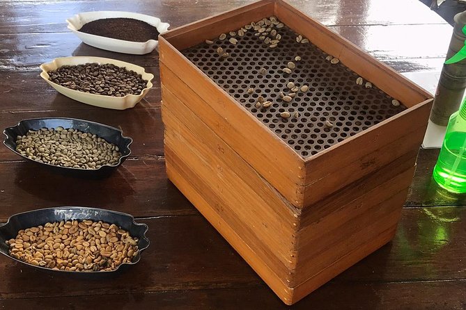 Blue Mountains Coffee Private Tour from Kingston - From Kingston streets to Blue Mountain air