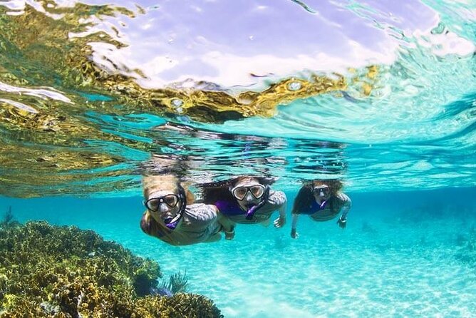Boatride & Snorkeling then Margaritaville Hipstrip Activity - From your resort lobby to Montego Bay’s water