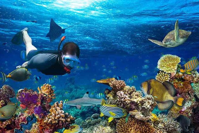 Boatride & Snorkeling then Margaritaville Hipstrip Activity - What $40 really buys you