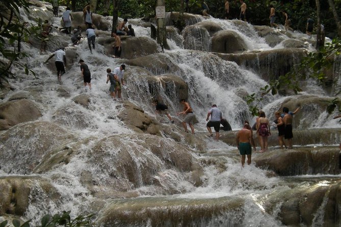 Bob Marley 9 Miles Tour and Dunns River Falls - Why this private Montego Bay outing works