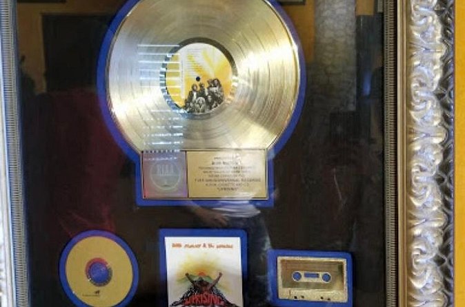 Bob Marley Birth Place Private Tour - Lunch and practical comfort