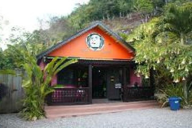Bob Marley Mausoleum Tour, Nine Miles Jamaica from Montego Bay - The drive from Montego Bay to the mausoleum