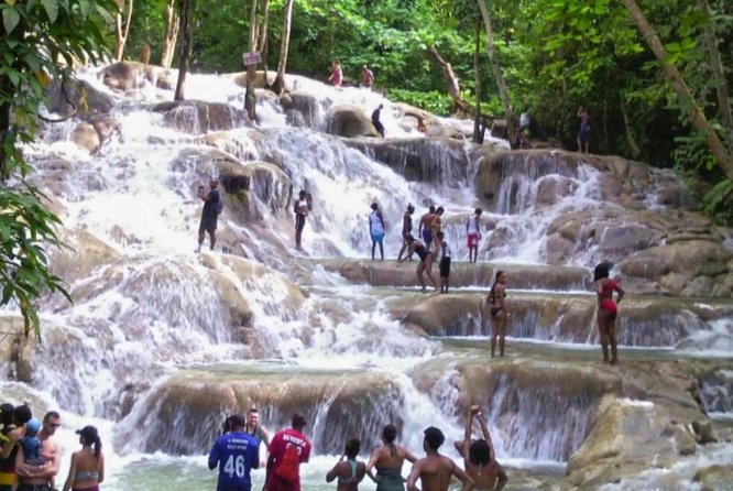 Bob Marley Nine Mile and Dunn's River Falls Tour From Montego Bay - Who will enjoy this tour most