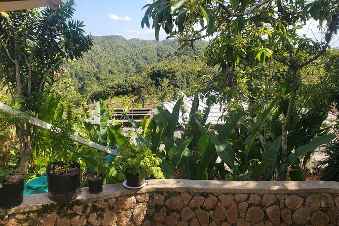 Bob Marley Nine Mile Home Private Tour from Montego Bay - The strongest part of the service